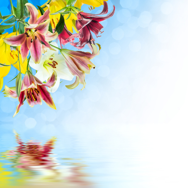 Blue sky background with flowers HD picture