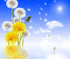 Blue sky background with water dandelion HD picture