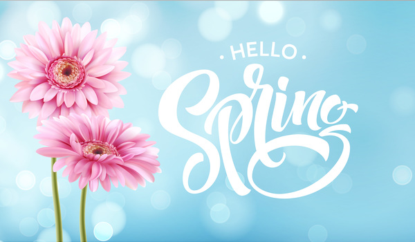 Blue spring background with gerbera flower vector 02