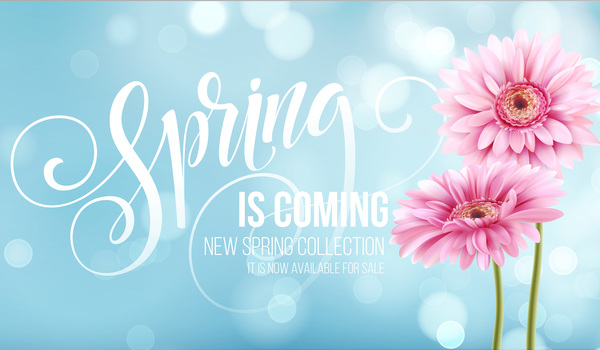Blue spring background with gerbera flower vector 06