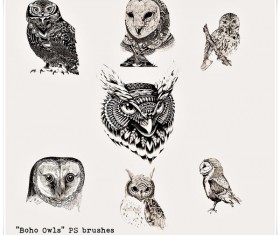 Boho Owls photoshop brushes