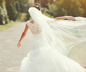 Bride Stock Photo 14