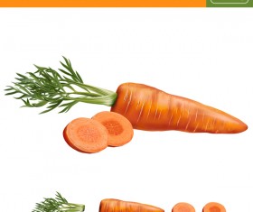 Carrot with slice realistic vectors