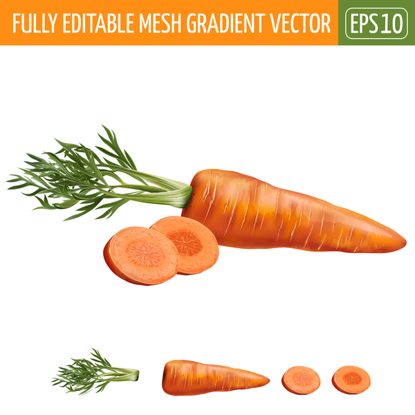 Carrot with slice realistic vectors