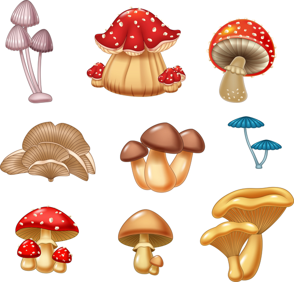 Cartoon mushrooms set vector