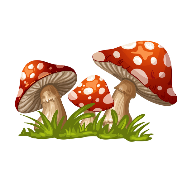 Cartoon mushrooms with grass vector 03 free download