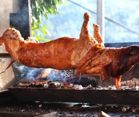 Char-grilled whole pig Stock Photo