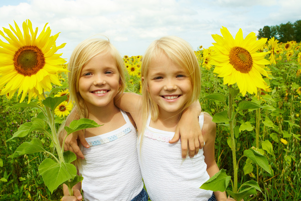 Children sunflower plantation Stock Photo