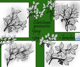 Christmas greeneries photoshop brushes