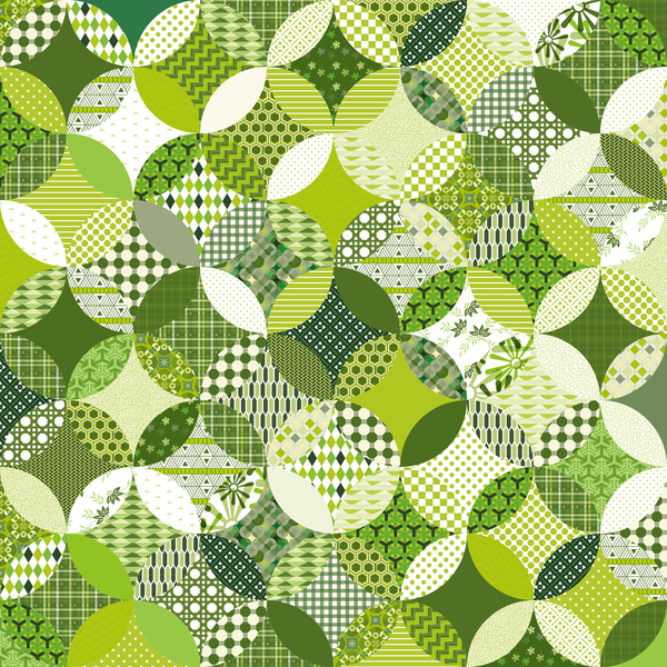 Circles seamless pattern with decor floral vector 06