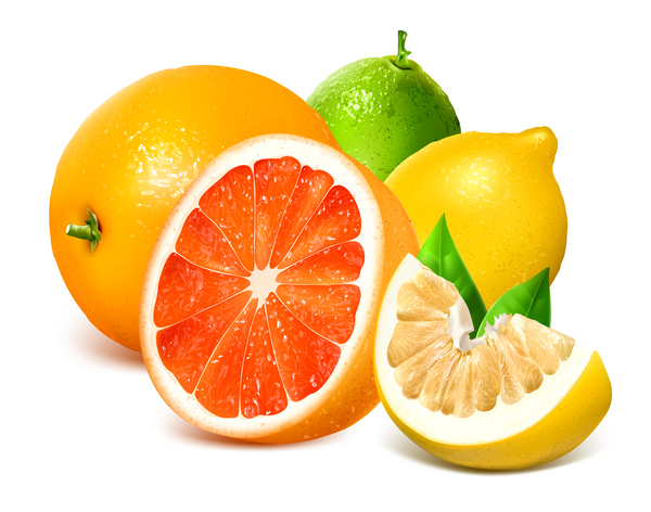 Citrus with pomelo and lemon vector 01