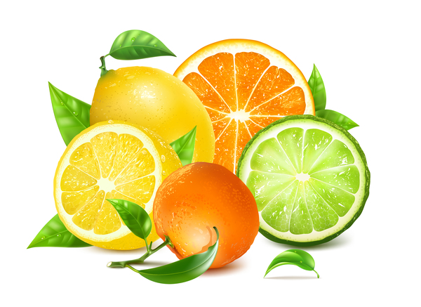 Citrus with pomelo and lemon vector 02
