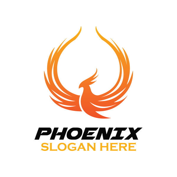 Creative phoenix logo set vector 12