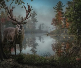 Dark fairy forest Stock Photo 02