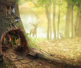 Dark fairy forest Stock Photo 03