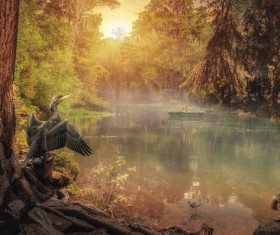 Dark fairy forest Stock Photo 05