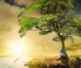 Dark fairy forest Stock Photo 08