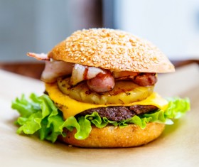Delicious pork burger Stock Photo 01
