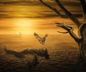 Desolate dry land and birds Stock Photo