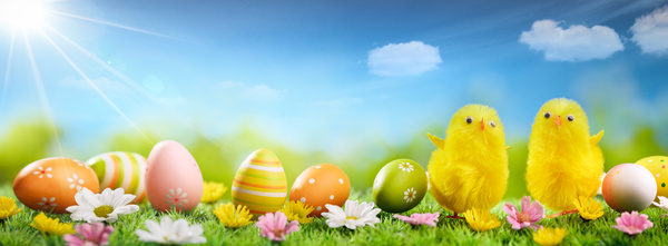 Easter 2017 Backgrounds HD picture
