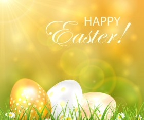 Easter background with green grass vector design