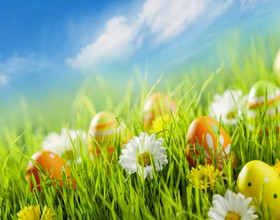 Easter eggs on green grass HD picture