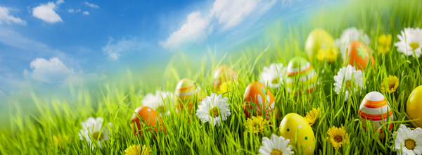 Easter eggs on green grass HD picture