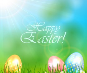 Easter eggs with flowers vector