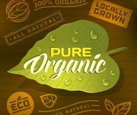 Eco with organic labels vector material