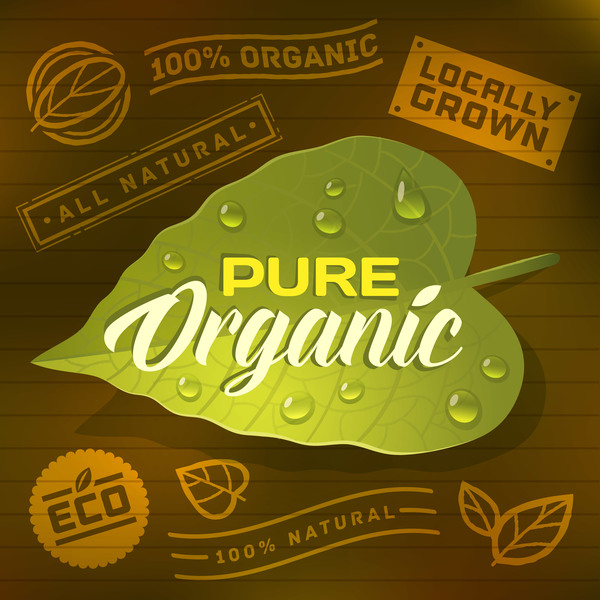 Eco with organic labels vector material