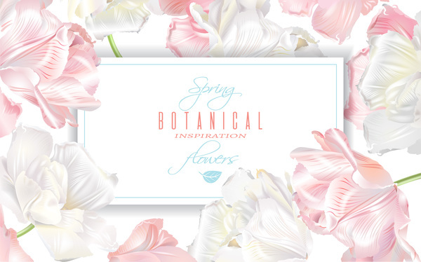 Elegant tulips with flower card vector 01