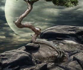 Fabulous island Stock Photo 06