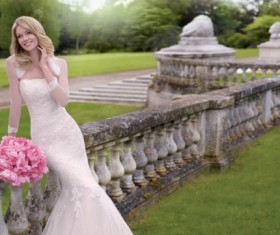 Fish tail lace wedding dress HD picture