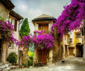 French Provence landscape Stock Photo
