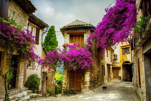 French Provence landscape Stock Photo