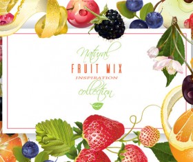 Fresh fruits frame vector material