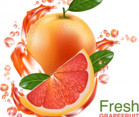 Fresh grapefruit drink poster vector 02