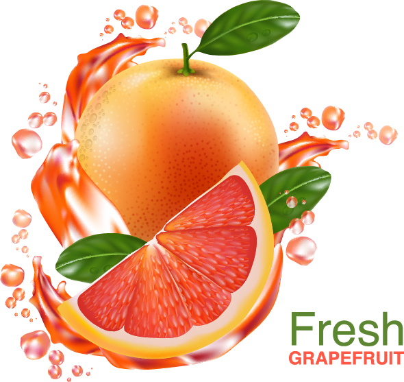 Fresh grapefruit drink poster vector 02