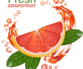 Fresh grapefruit drink poster vector 03