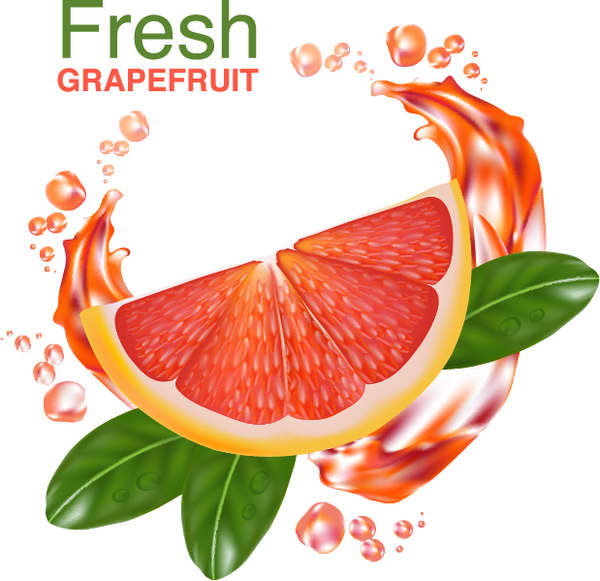Fresh grapefruit drink poster vector 03