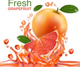 Fresh grapefruit drink poster vector 04
