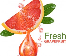 Fresh grapefruit drink poster vector 05
