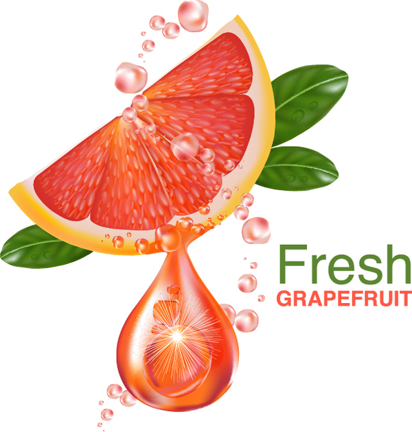 Fresh grapefruit drink poster vector 05