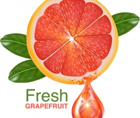 Fresh grapefruit drink poster vector 06