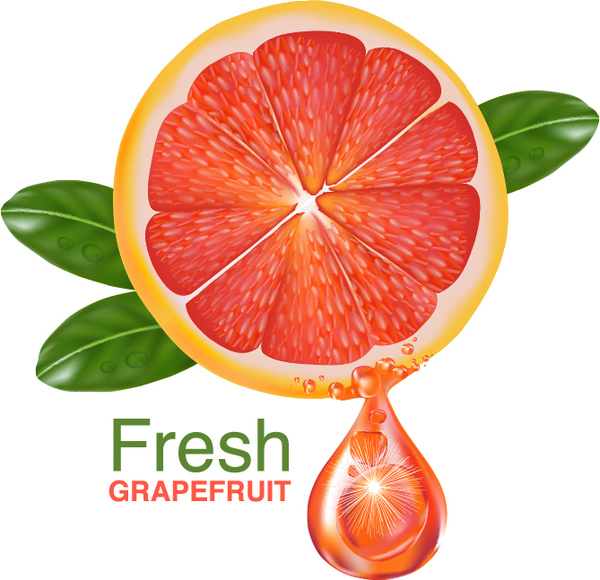 Fresh grapefruit drink poster vector 06