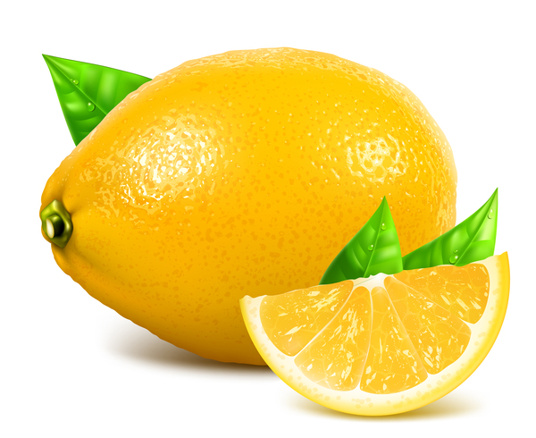 Fresh lemon with leaf vector material 01