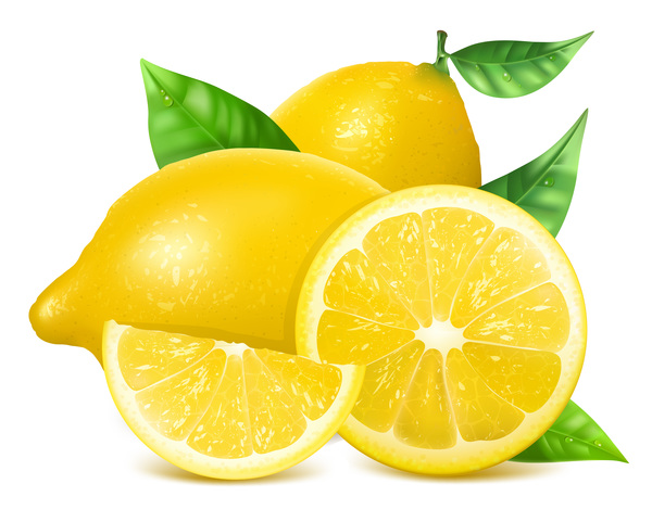 Fresh lemon with leaf vector material 02
