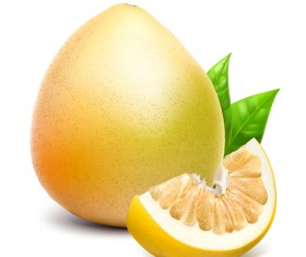 Fresh lemon with leaf vector material 05