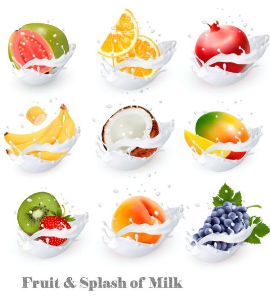 Fruit and splash milk vector illustration 01