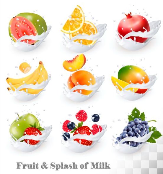 Fruit and splash milk vector illustration 02